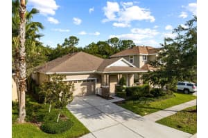 20074 HERITAGE POINT DRIVE, TAMPA, FL 33647 - MLS#MFRTB8425165