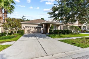 20074 HERITAGE POINT DRIVE, TAMPA, FL 33647 - MLS#MFRTB8425165