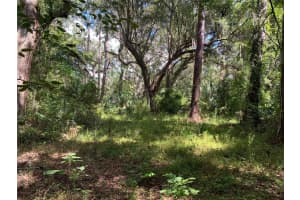 CORTEZ BLVD, BROOKSVILLE, FL 34601 - MLS#MFRTB8425168