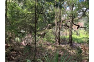 CORTEZ BLVD, BROOKSVILLE, FL 34601 - MLS#MFRTB8425168