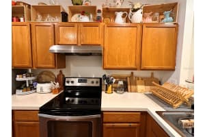 18510 PEBBLE LAKE COURT, TAMPA, FL 33647 - MLS#MFRTB8425173