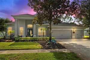 12114 Creek Edge Dr, RIVERVIEW
