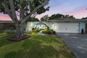 3233 Carriage Dr, PALM HARBOR