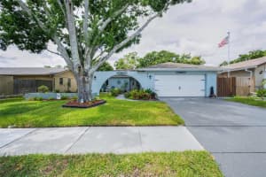 3233 CARRIAGE DRIVE, PALM HARBOR, FL 34684 - MLS#MFRTB8425197