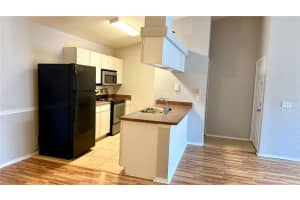 16341 ENCLAVE VILLAGE DRIVE, TAMPA, FL 33647 - MLS#MFRTB8425207