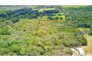 LA RUTH RD, BROOKSVILLE, FL 34601 - MLS#MFRTB8425218