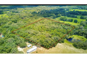 LA RUTH RD, BROOKSVILLE, FL 34601 - MLS#MFRTB8425218
