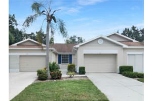 1011 RADISON AVENUE, SUN CITY CENTER, FL 33573 - MLS#MFRTB8425245
