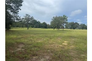 17349 FORGE DRIVE, SPRING HILL, FL 34610 - MLS#MFRTB8425254