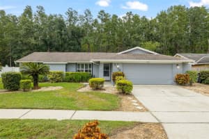5330 BLACK PINE DRIVE, TAMPA, FL 33624 - MLS#MFRTB8425258