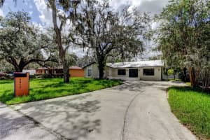 4817 E 97th Ave, TAMPA