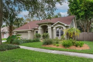 5308 Windbrush Dr, TAMPA
