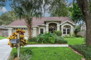 5308 WINDBRUSH DRIVE, TAMPA, FL 33625 - MLS#MFRTB8425301