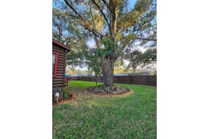 10605 2ND STREET, THONOTOSASSA, FL 33592 - MLS#MFRTB8425307