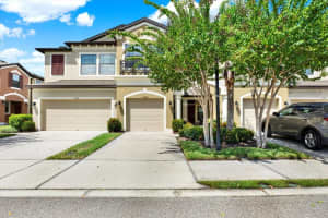 11604 Crowned Sparrow Ln, TAMPA