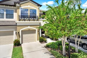 11604 CROWNED SPARROW LANE, TAMPA, FL 33626 - MLS#MFRTB8425326