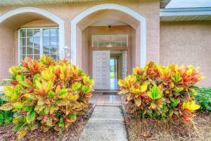 1775 BARN OWL WAY, PALM HARBOR, FL 34683 - MLS#MFRTB8425334