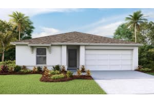 3082 Pink Gerbera Sq, PLANT CITY