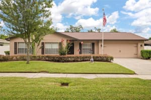 13211 Moran Dr, TAMPA
