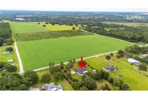 13921 CURLEY ROAD, DADE CITY, FL 33525 - MLS#MFRTB8425390