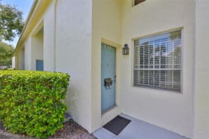 4513 LA VILLA LANE, TAMPA, FL 33611 - MLS#MFRTB8425404