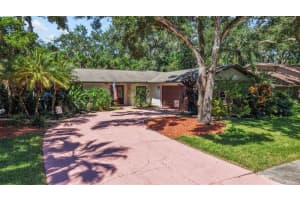 20 Pinewood Cir, SAFETY HARBOR
