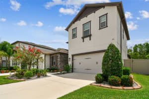 4414 CASELLA DRIVE, WESLEY CHAPEL, FL 33543 - MLS#MFRTB8425427