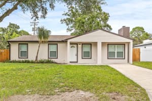 10517 N Hamner Ave, TAMPA