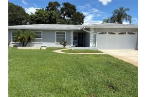 4710 Shale Pl, TAMPA