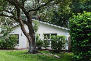 328 HAYA STREET, TAMPA, FL 33603 - MLS#MFRTB8425496