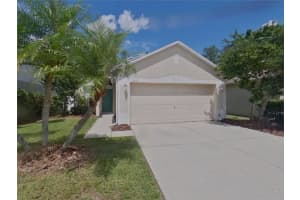 30635 Birdhouse Dr, WESLEY CHAPEL
