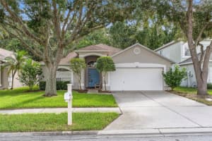 1600 Firewheel Dr, WESLEY CHAPEL