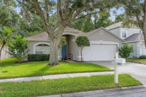 1600 FIREWHEEL DRIVE, WESLEY CHAPEL, FL 33543 - MLS#MFRTB8425553