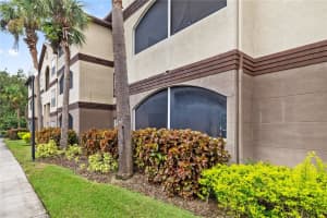 16573 ENCLAVE VILLAGE DRIVE, TAMPA, FL 33647 - MLS#MFRTB8425577