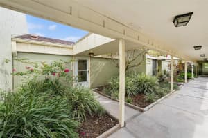 13512 Palmwood Ln, TAMPA