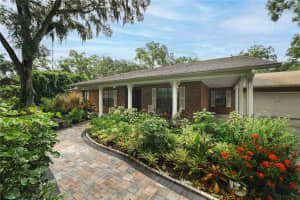 16625 INDIAN MOUND ROAD, TAMPA, FL 33618 - MLS#MFRTB8425604