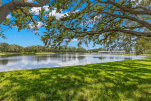 3096 OVERLOOK PLACE, CLEARWATER, FL 33760 - MLS#MFRTB8425607