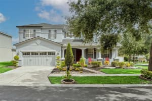 11138 HARTFORD FERN DRIVE, RIVERVIEW, FL 33569 - MLS#MFRTB8425612