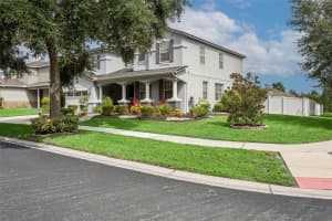 11138 HARTFORD FERN DRIVE, RIVERVIEW, FL 33569 - MLS#MFRTB8425612