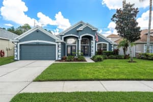 16422 Bridgewalk Dr, LITHIA