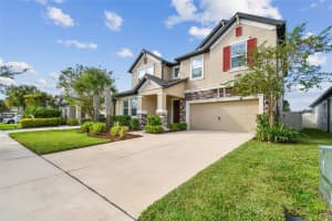 6501 DUTTON DRIVE, WESLEY CHAPEL, FL 33545 - MLS#MFRTB8425620