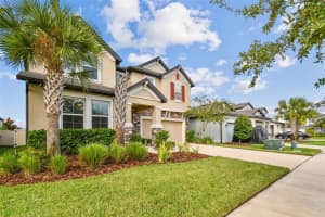 6501 DUTTON DRIVE, WESLEY CHAPEL, FL 33545 - MLS#MFRTB8425620