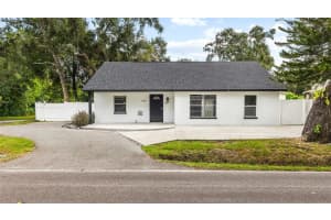 8302 Jackson Springs Rd, TAMPA