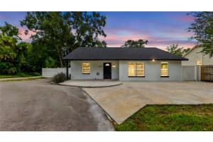 8302 JACKSON SPRINGS ROAD, TAMPA, FL 33615 - MLS#MFRTB8425627