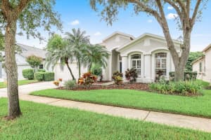 15533 Martinmeadow Dr, LITHIA