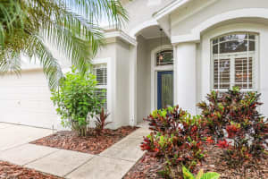 15533 MARTINMEADOW DRIVE, LITHIA, FL 33547 - MLS#MFRTB8425628