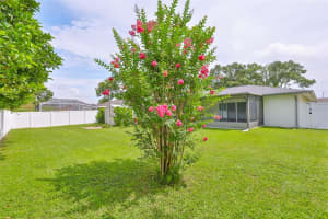2609 GIANT PLACE, SEFFNER, FL 33584 - MLS#MFRTB8425642
