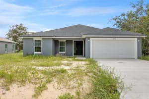 1204 ALAFIA WAY, KISSIMMEE, FL 34759 - MLS#MFRTB8425643
