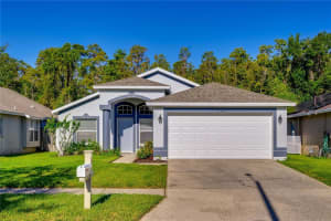 31308 Wrencrest Dr, WESLEY CHAPEL