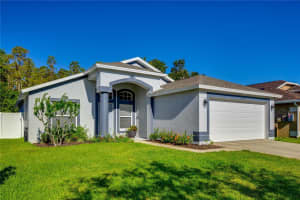 31308 WRENCREST DRIVE, WESLEY CHAPEL, FL 33543 - MLS#MFRTB8425655